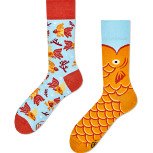 vissen sokken - The Wishfish - Many Mornings