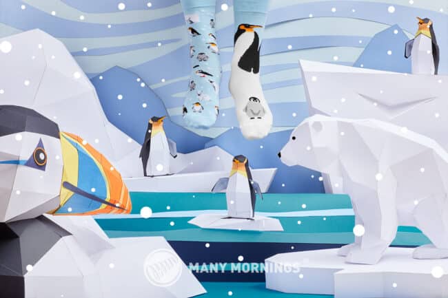 Sokken Met Pinguïns - Many Mornings - Frosti Friends